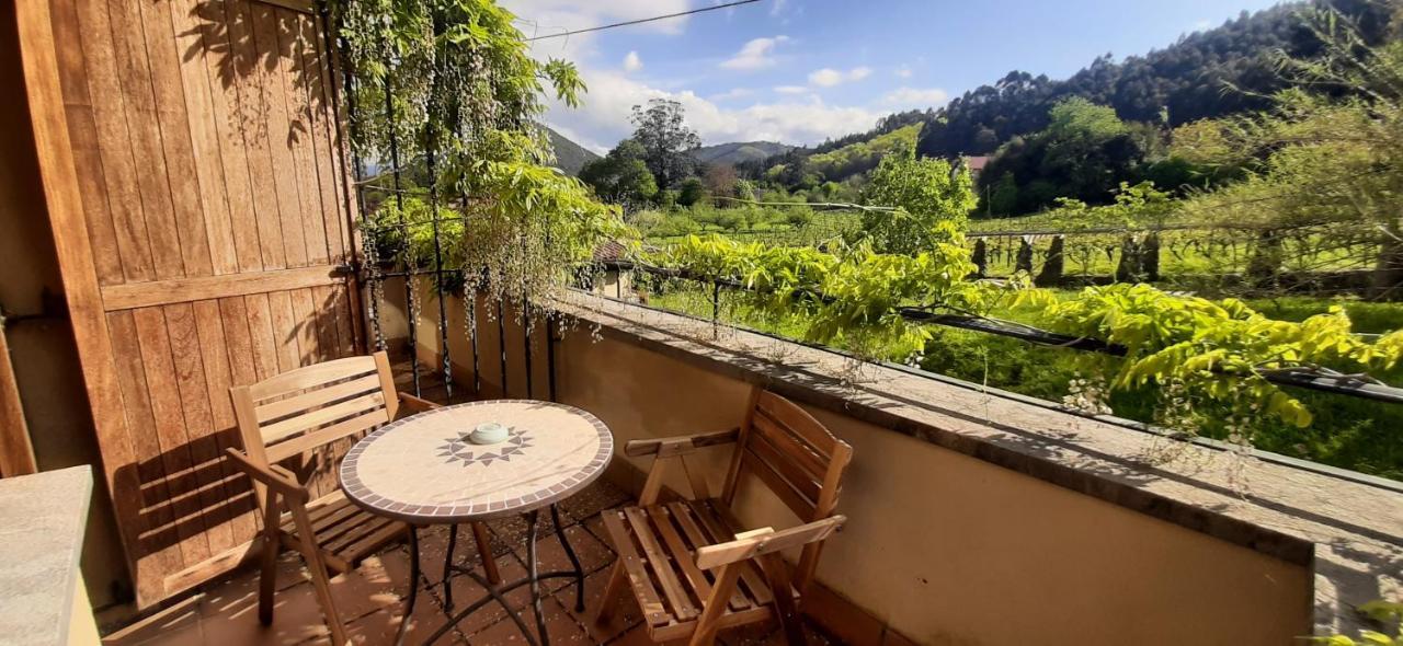 Ecohotel Rural Angiz Busturia Bagian luar foto