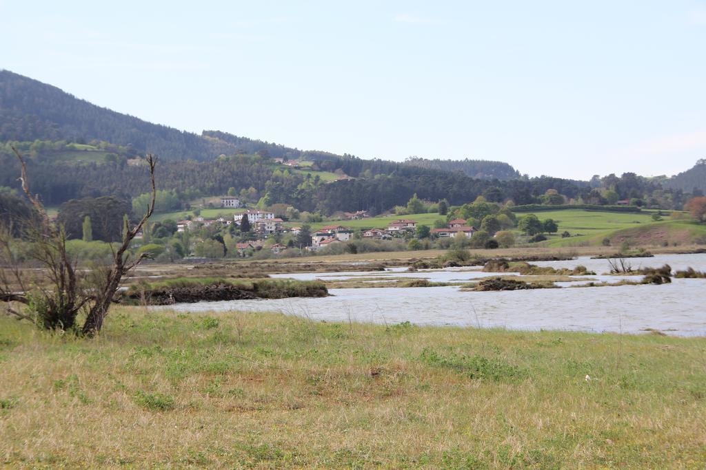 Ecohotel Rural Angiz Busturia Bagian luar foto