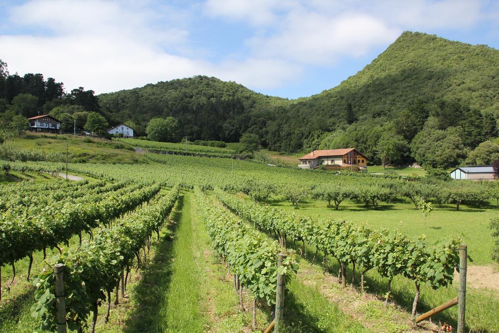 Ecohotel Rural Angiz Busturia Bagian luar foto